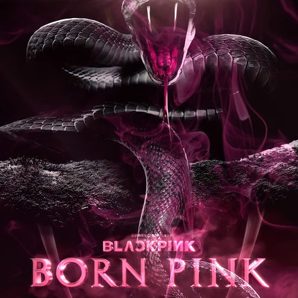 BLACKPINK BORN PINK 2nd Album BOX SET Version  (Random)