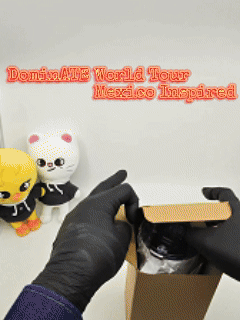 Stray Kids Felix Inspired Travel Mug with a Handle – SKZ Mexico Tour Vibe | 25oz & 40oz