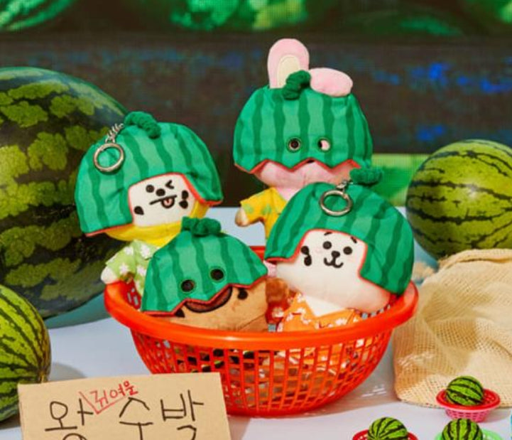 BT21 Official Summer Rain Watermelon Themed Keyring