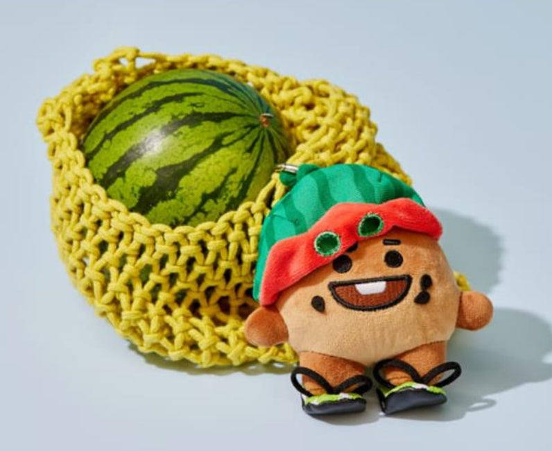 BT21 Official Summer Rain Watermelon Themed Keyring
